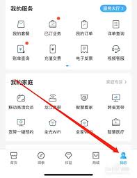 怎样快速查看我的订单-如何轻松查找本人订单