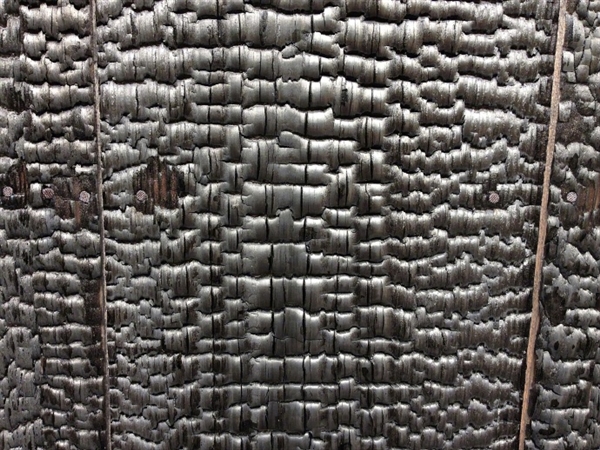 达芬奇手稿新发现：领先日本100多年发现“烧杉板”工艺