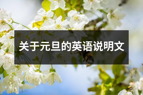 关于元旦的英语说明文
